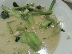 -煲来饱去冷水鱼