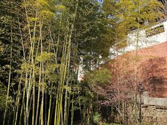 -东坡赤壁风景名胜区