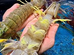 -徐记海鲜(大雁塔|金都店)