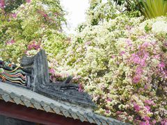 -深圳国际园林花卉博览园