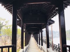 -八大山人梅湖景区