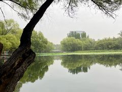 -青城公园