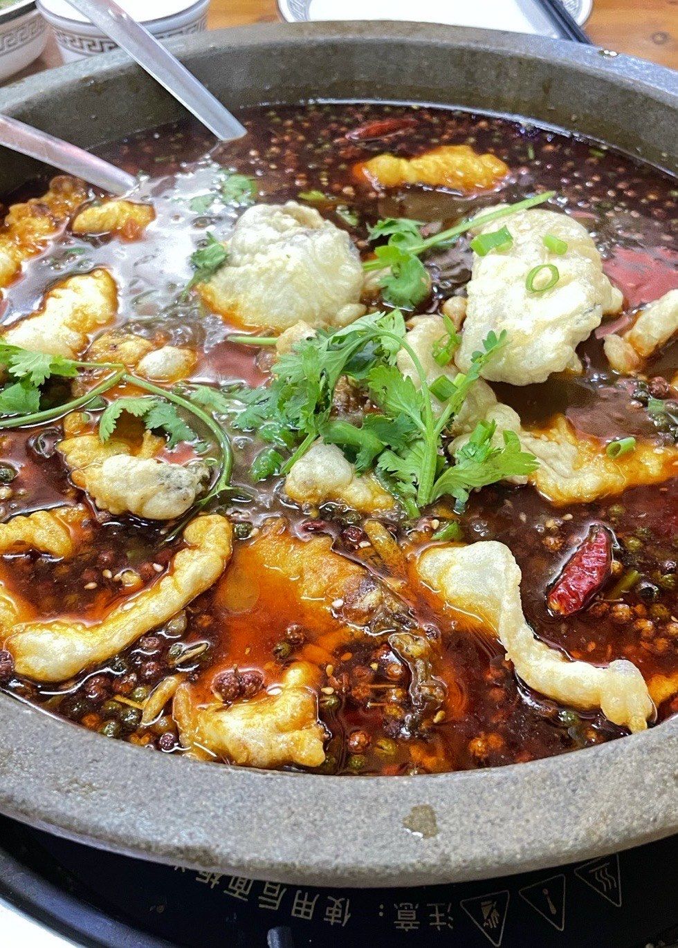 【外眼看云南】从雪山到蓝莓园：一场跨过千里的“胞波”暖冬行满意结束