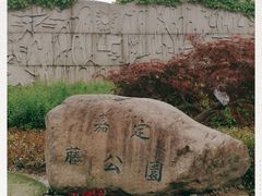 -嘉定紫藤园