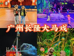 -广州长隆国际大马戏