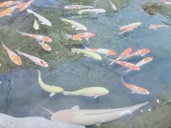 -鸿通城购物中心