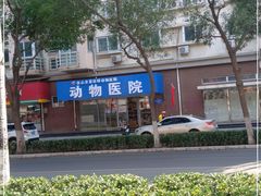 -全心全意连锁动物医院·微创中心·内科急重症·心脏专科(丰管路店)