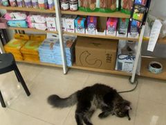 -瑞鹏·疫苗·绝育·宠物医院(金沙洲店)