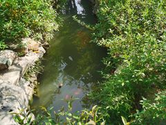 -梅园