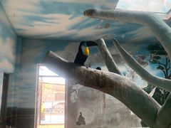 -石家庄市动物园