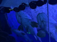 -多彩贵州城极地海洋世界