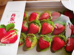 草莓-叶氏兄弟(大连奥特莱斯店)