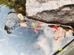 -溪口-滕头旅游景区