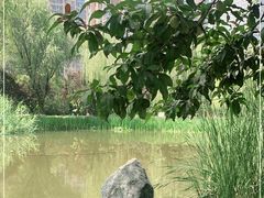 -木塔寺遗址生态公园