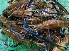 -东漖肉菜综合市场