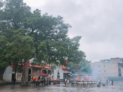 -悦城龙母祖庙