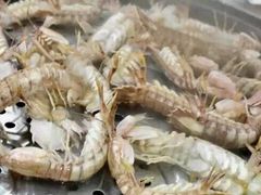 -海味当家·蒸锅海鲜(星海公园店)