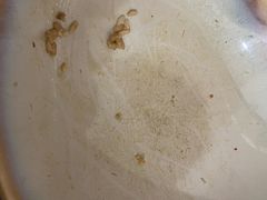 -THE PAWON·8碗(古北SOHO店)