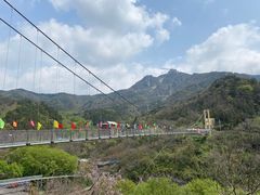 -木兰云雾山