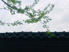 -温江公园
