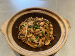 椒香口蘑-羊门客在·烤盐池滩羊·川菜