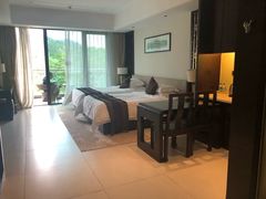 -河源万绿湖美思威尔顿酒店
