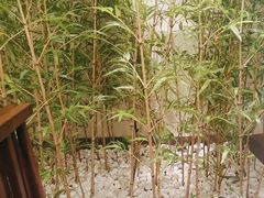 -同湘会馆(粤垦路店)