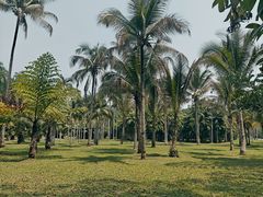-中国科学院西双版纳热带植物园
