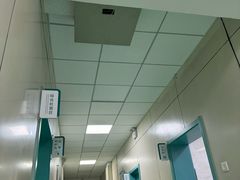 -北京观赏动物医院·24小时大型综合·猫专科·异宠专科