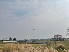 -空港花田景区