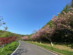 -金陵矩阵(聚宝山公园店)