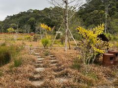 -海南热带雨林国家公园吊罗山景区