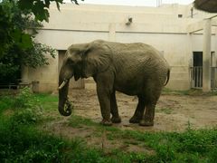 -辛玛王国游乐园