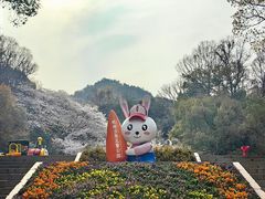 -杭州少年儿童公园