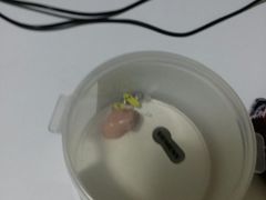 -北京悦听品牌助听器集合店峰力奥迪康斯达克瑞声达(石景山店)