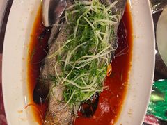 -宁波柏悦酒店·钱湖渔港