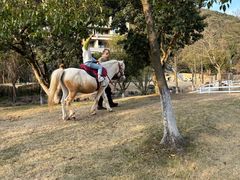 -宁波九龙湖开元度假村