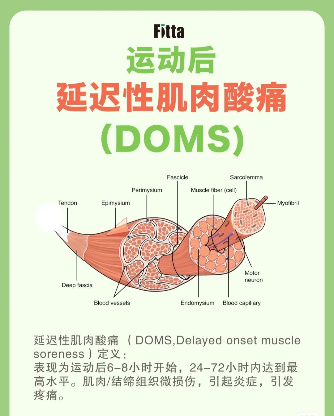 健身之后肌肉酸痛