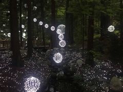 -悬崖栈道