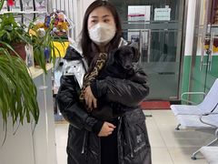-利又安动物医院··老年病·猫科犬科·中兽医