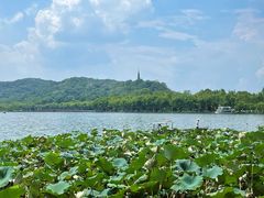 -湖畔居茶楼(湖滨店)