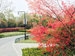 -杭州城北体育公园