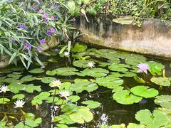 -国家植物园南园