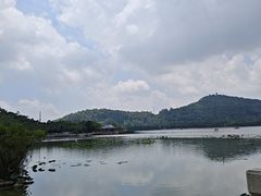 -顺峰山公园