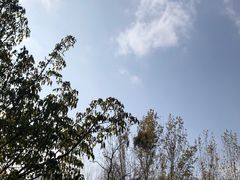 -西昌邛海湿地