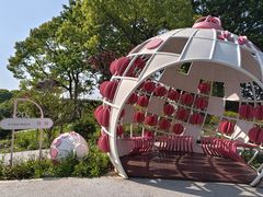 -上海鲜花港