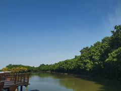-大湾区中央湿地公园