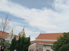 -洛阳白马寺