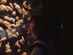 -多彩贵州城极地海洋世界