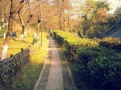 android_upload_pic-府山公园